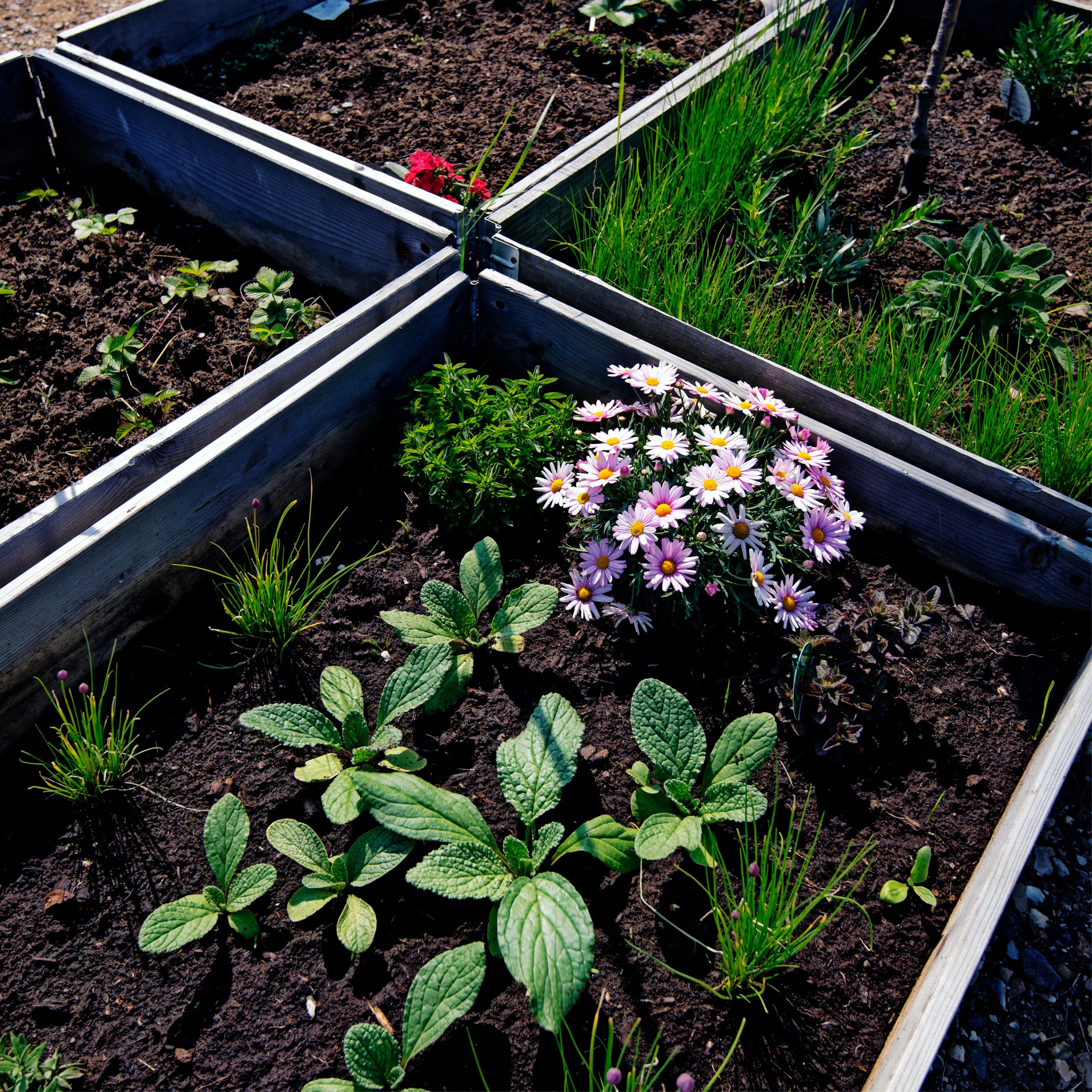 Rasied Garden Beds Planters Raised Gardens in Perth