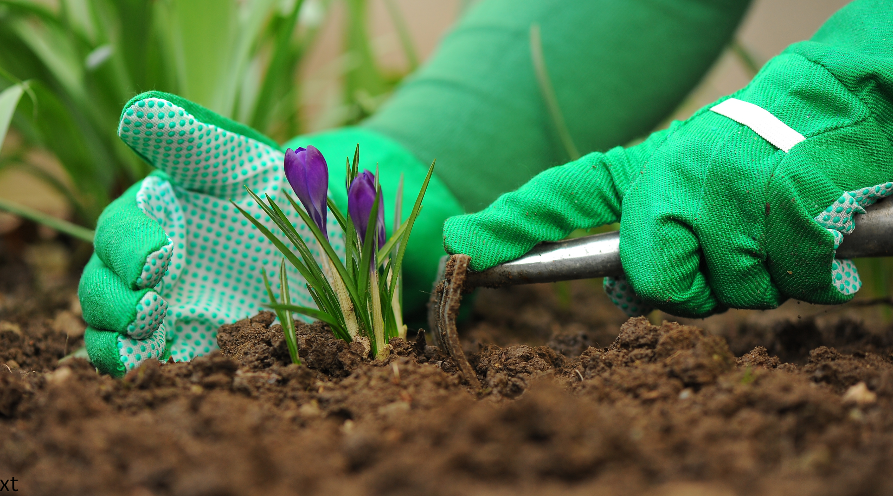 Gardening Gloves