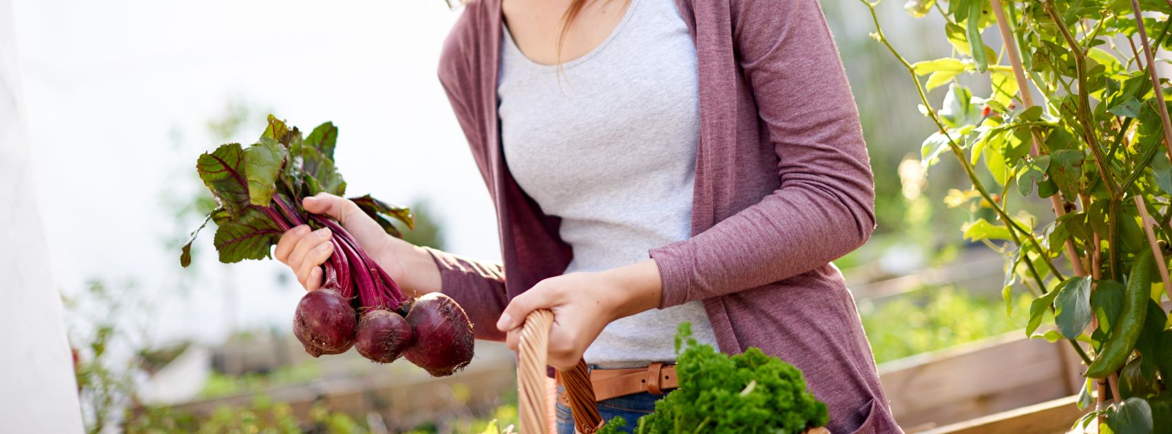 Vegepod Raised Garden Bed Collection delivery australia wide