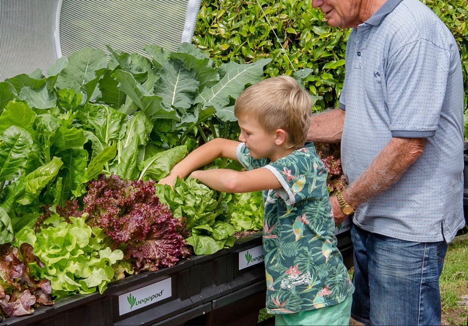 Vegepod Raised Garden Bed Medium 1m x 1m with VegeCover + Medium Trolley