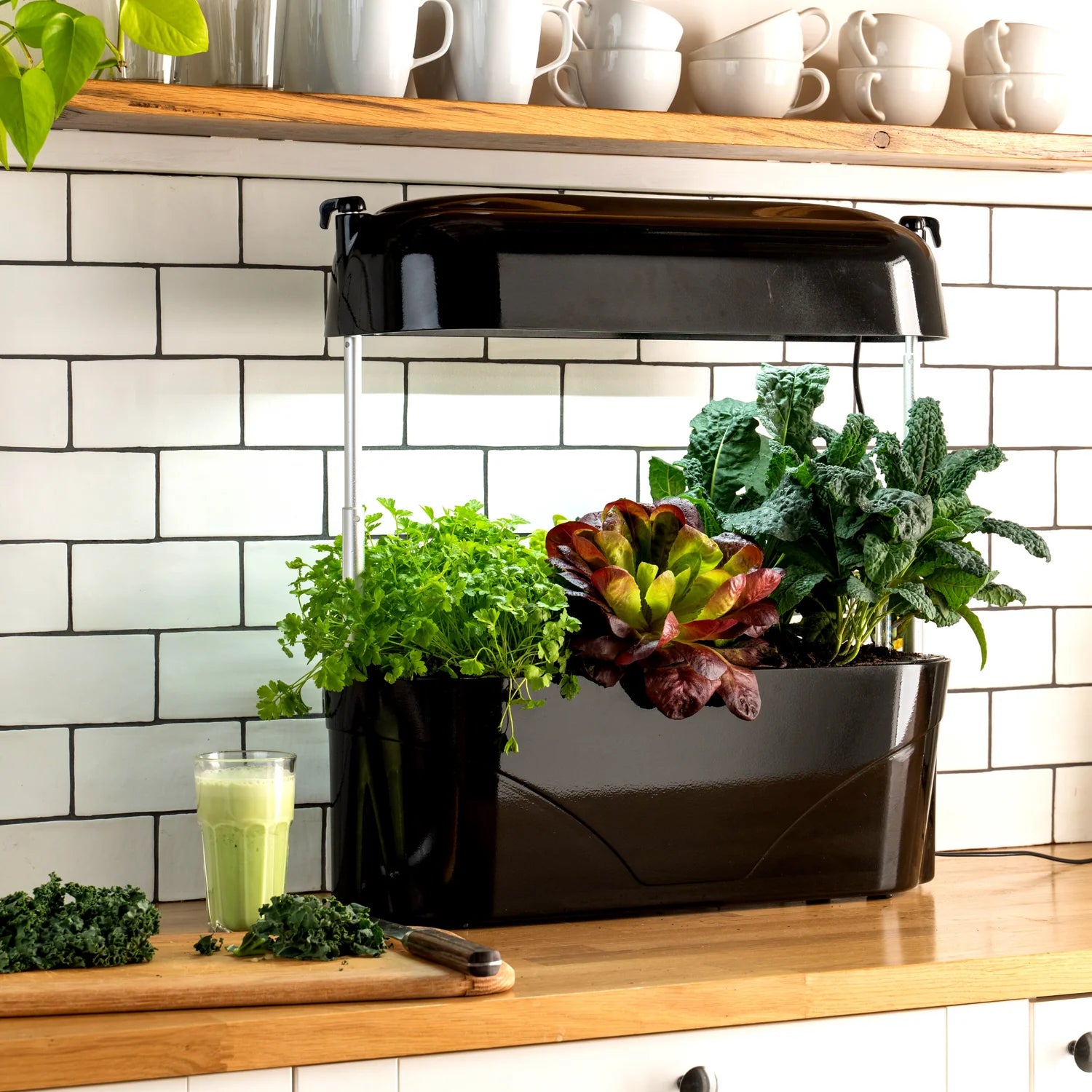 Vegepod Kitchen Garden Black