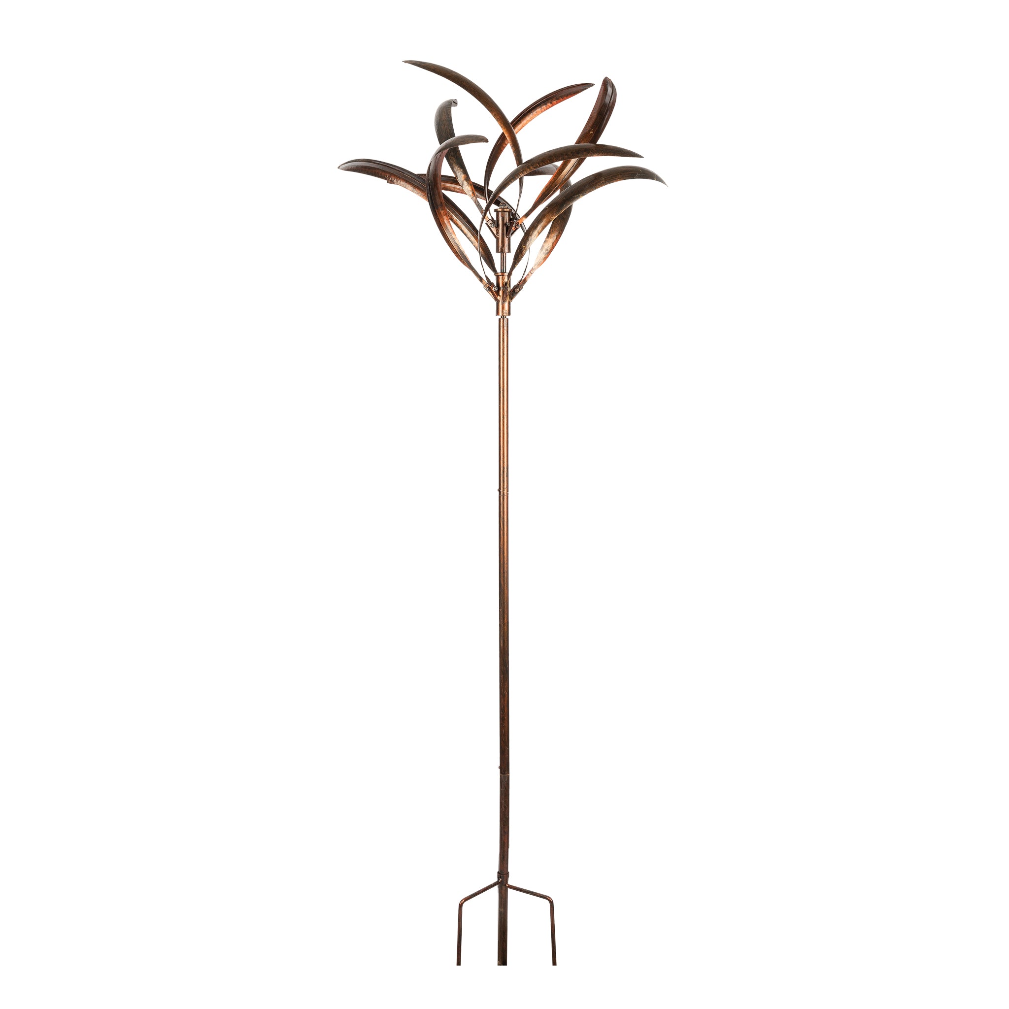 Wind Spinner Grevillea Bronze