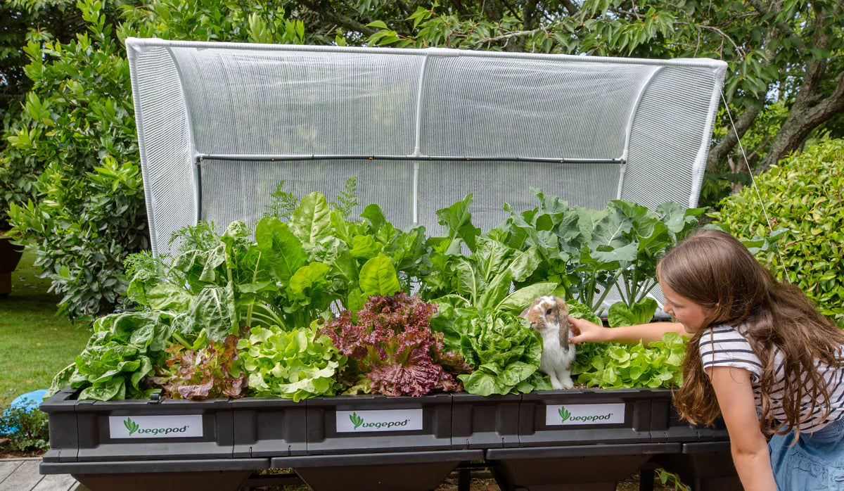 Vegepod Raised Garden Bed Large 2m x 1m with VegeCover + Large Stand