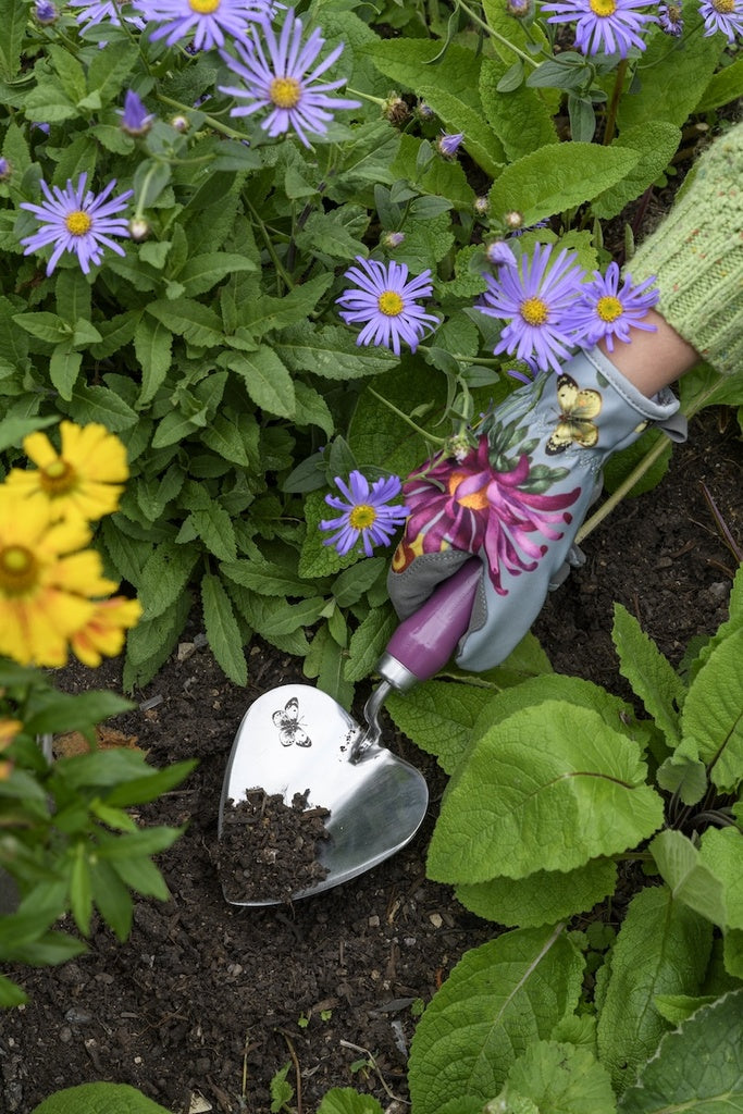 RHS Gift Planting Trowel & Dibber Asteraceae