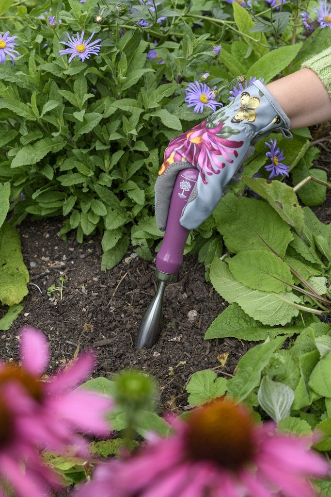 RHS Gift Planting Trowel & Dibber Asteraceae