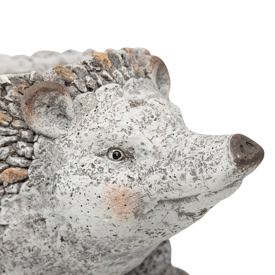Stony Echidna Planter*