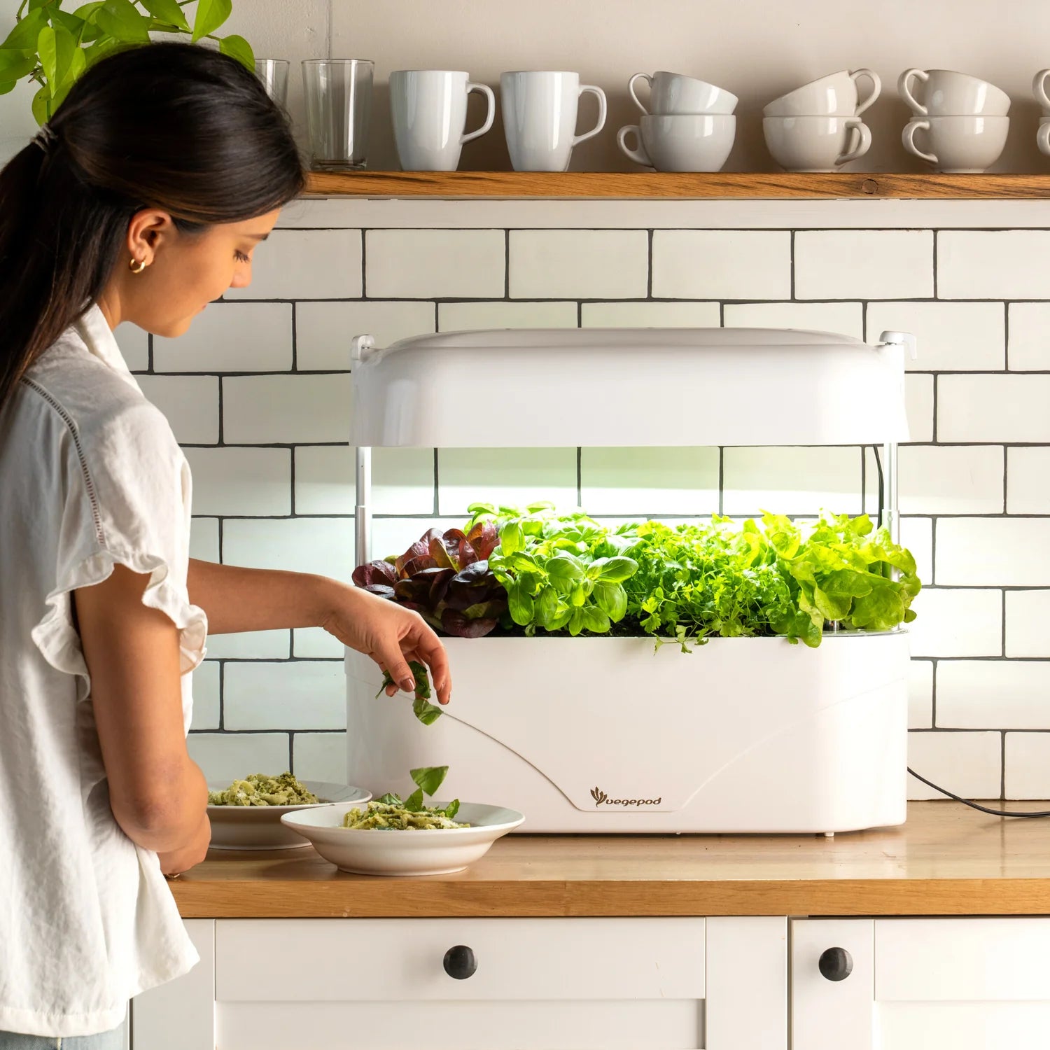 Vegepod Kitchen Australia sold by Planters Raised Gardens