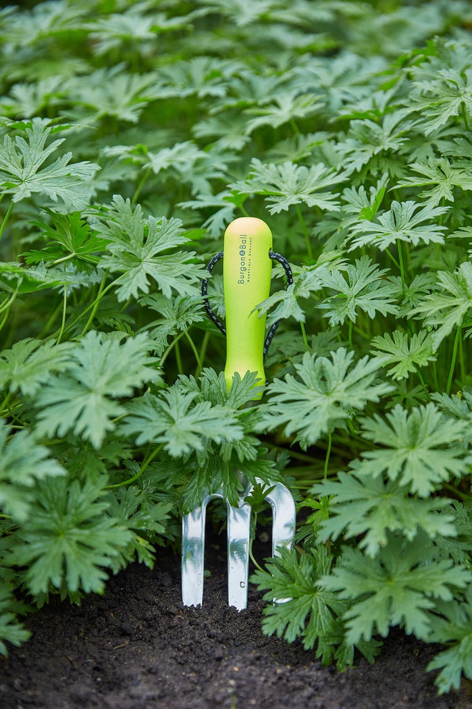 Fluorescent Hand Fork