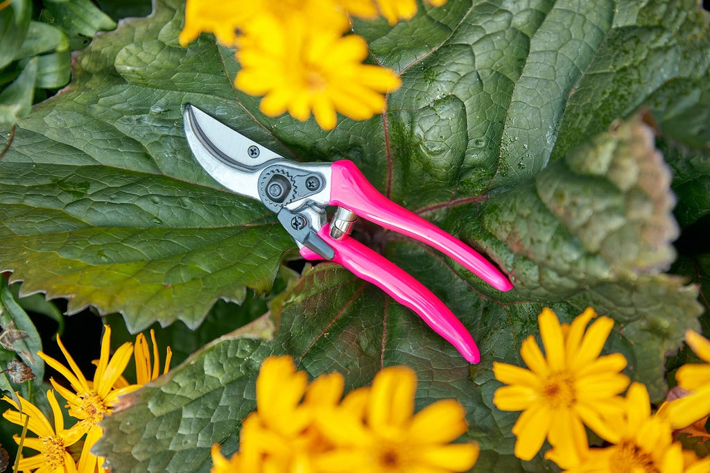 Fluorescent Bypass Secateurs