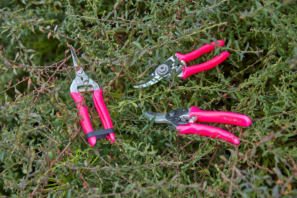 Fluorescent Bypass Secateurs