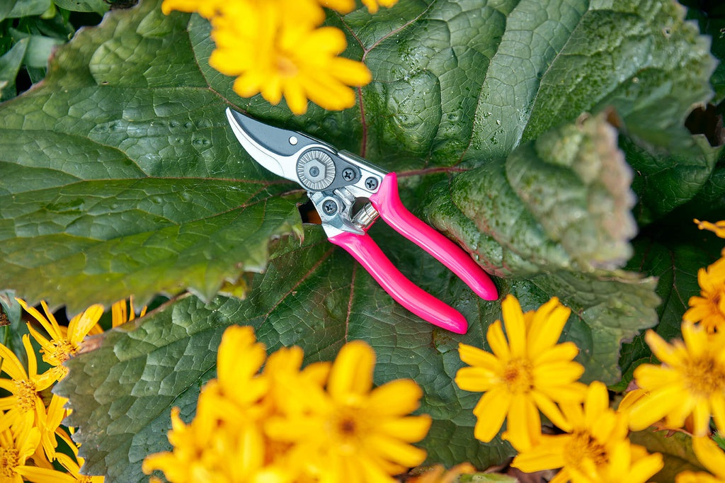 Fluorescent Pocket Pruner