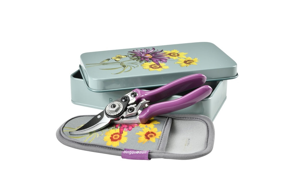 RHS Gift Pruner & Holster Set Asteraceae