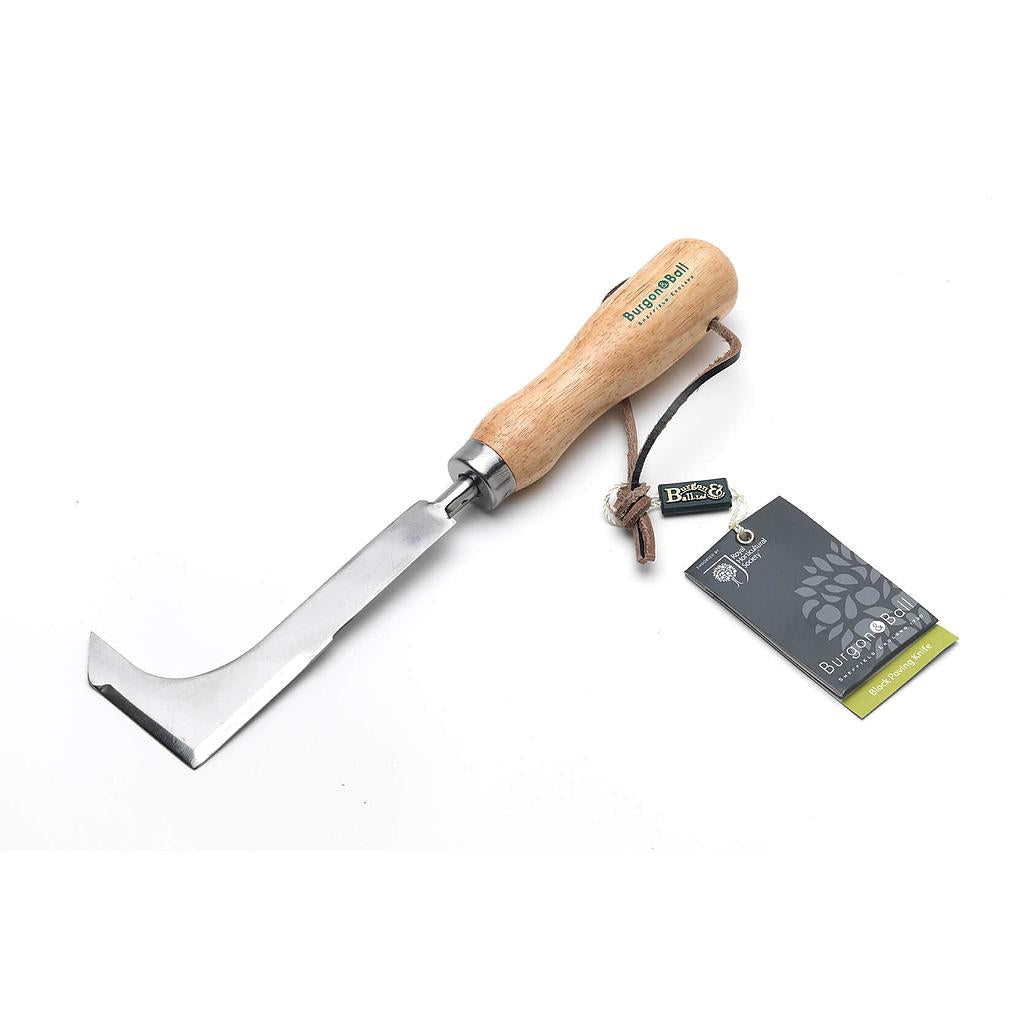 RHS Stainless Block Weeder