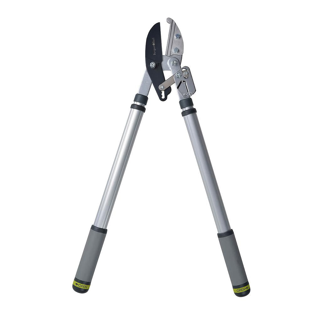 RHS Telescopic Ratchet Lopper