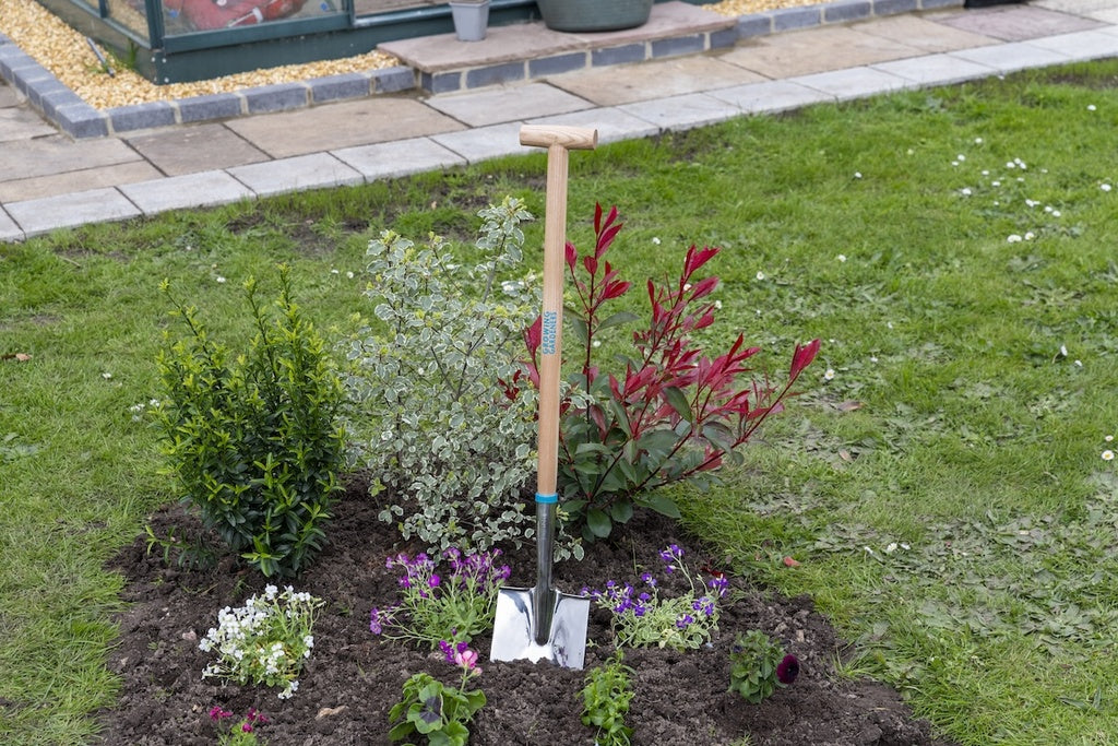 Growing Gardeners Digging Spade