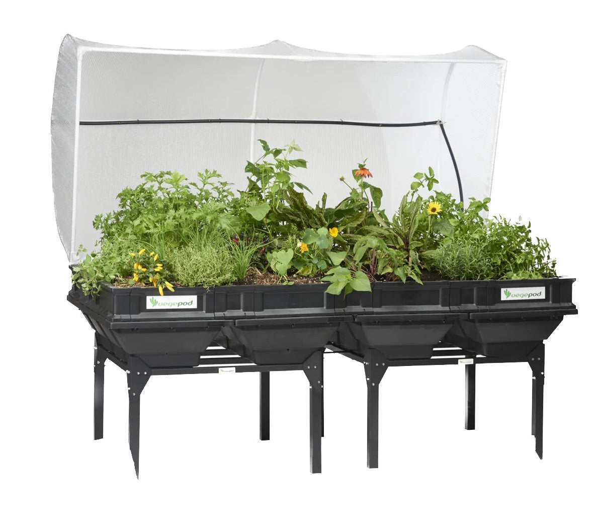 raised bed elevated australia