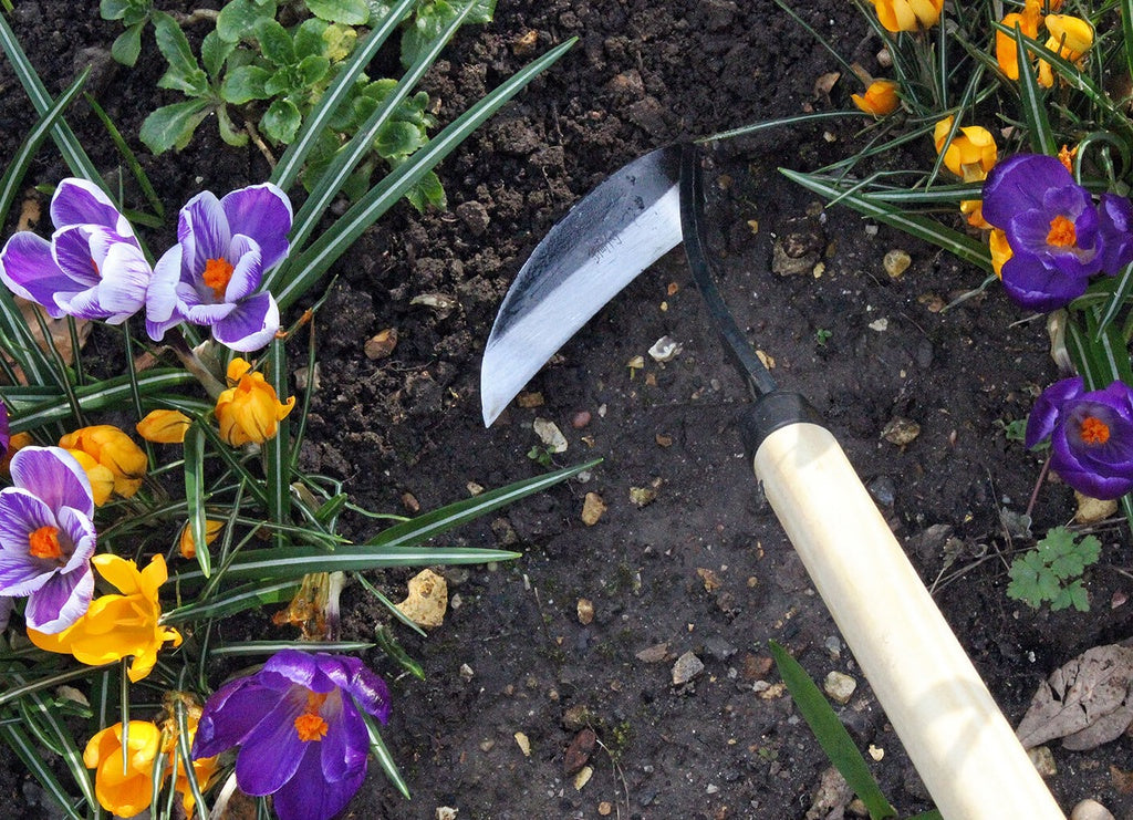 Long Handled Razor Hoe