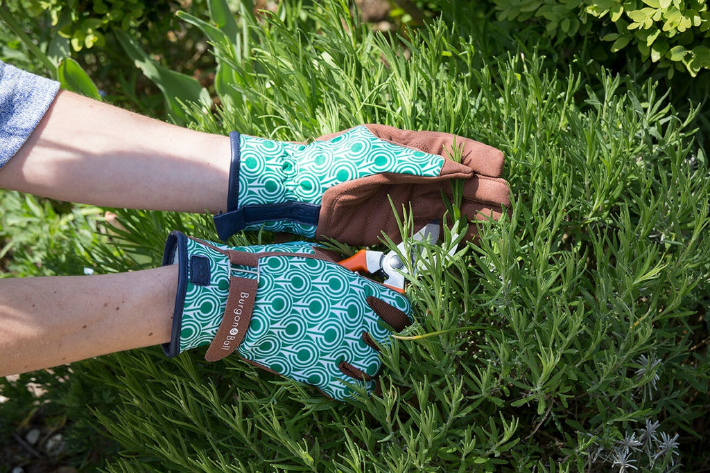 Love the Glove - Deco