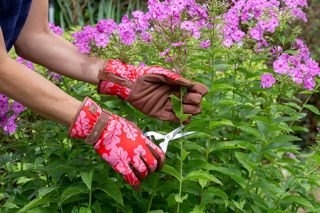 Love the Glove - Oak Leaf Poppy