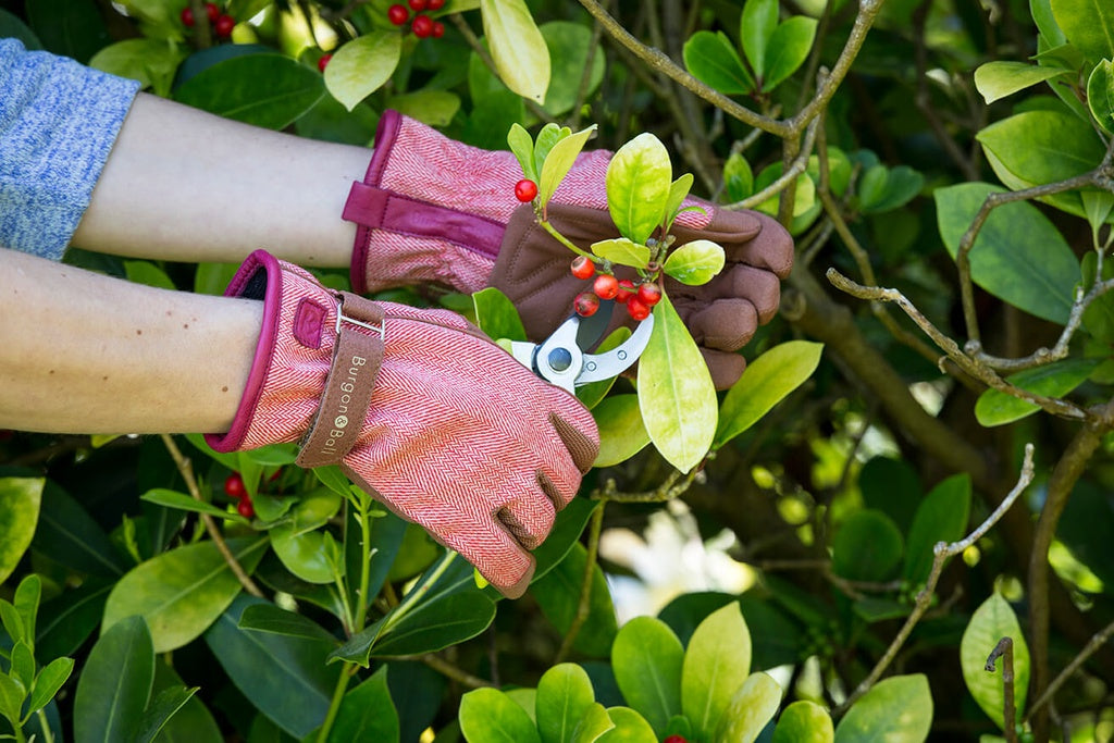 Love the Glove - Red Tweed