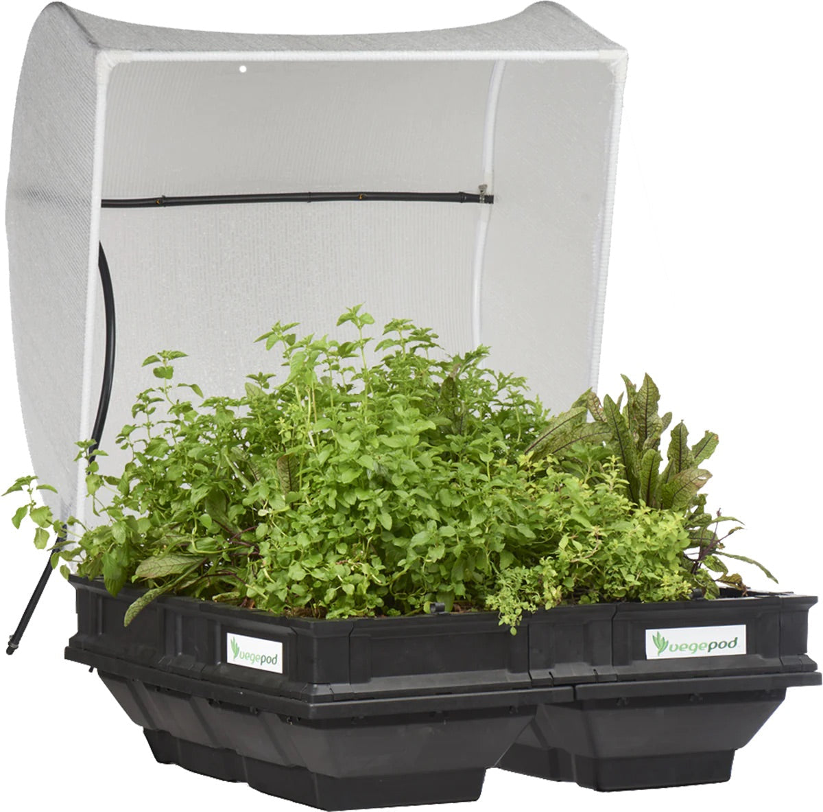 plastic raised garden beds in australia