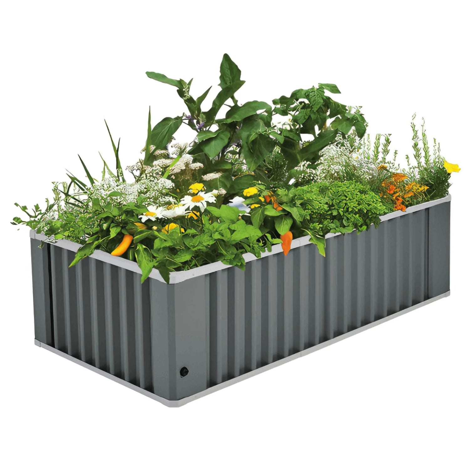 raised garden bed self watering"