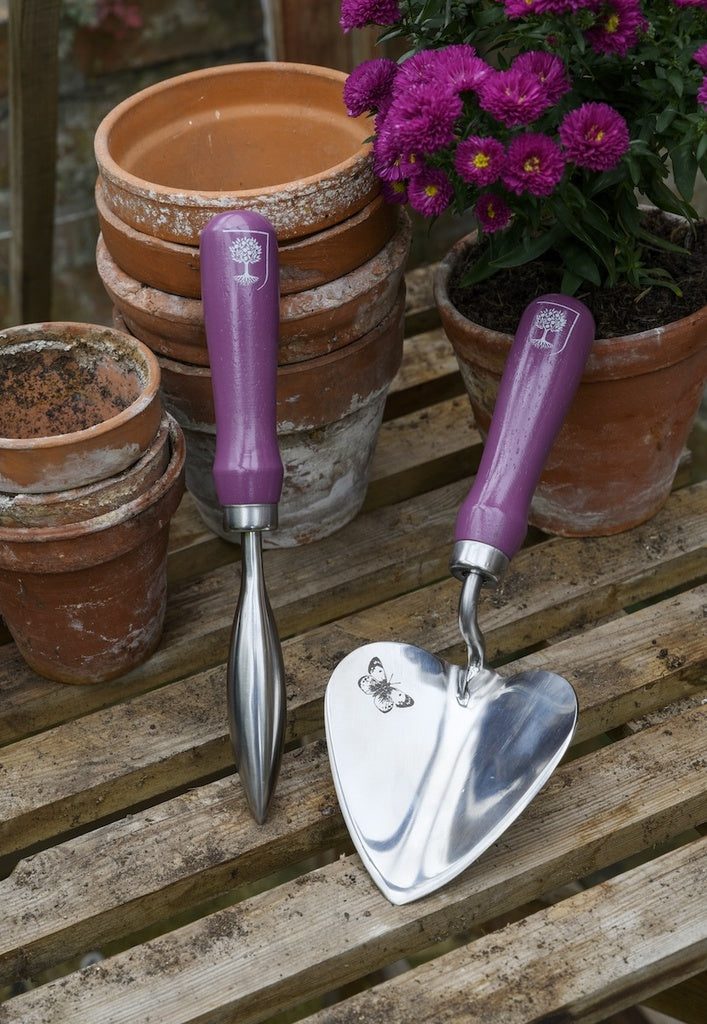 RHS Gift Planting Trowel & Dibber Asteraceae