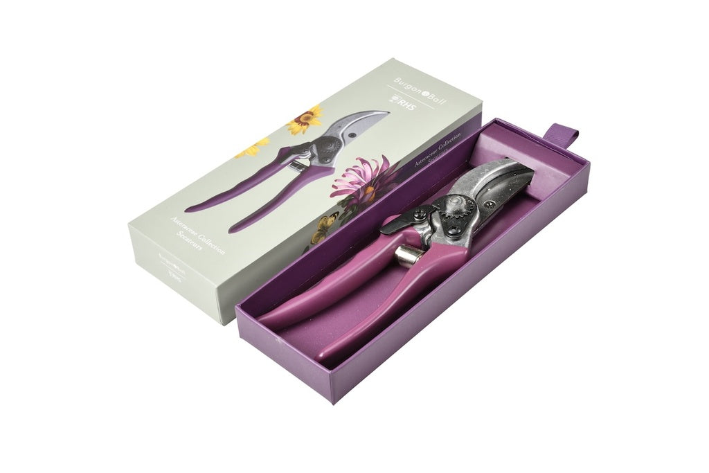 RHS Gift Secateurs Asteraceae