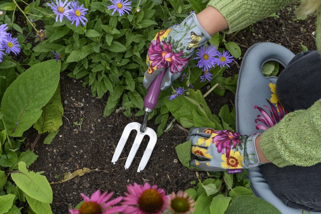RHS Gift Trowel & Frok Asteraceae