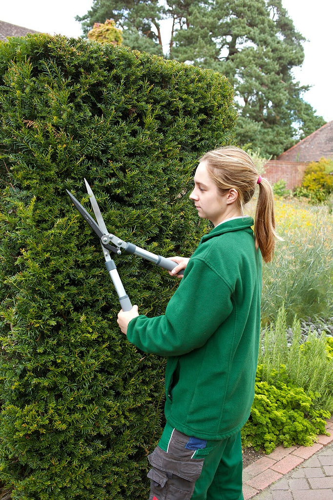 RHS Hedge Shear