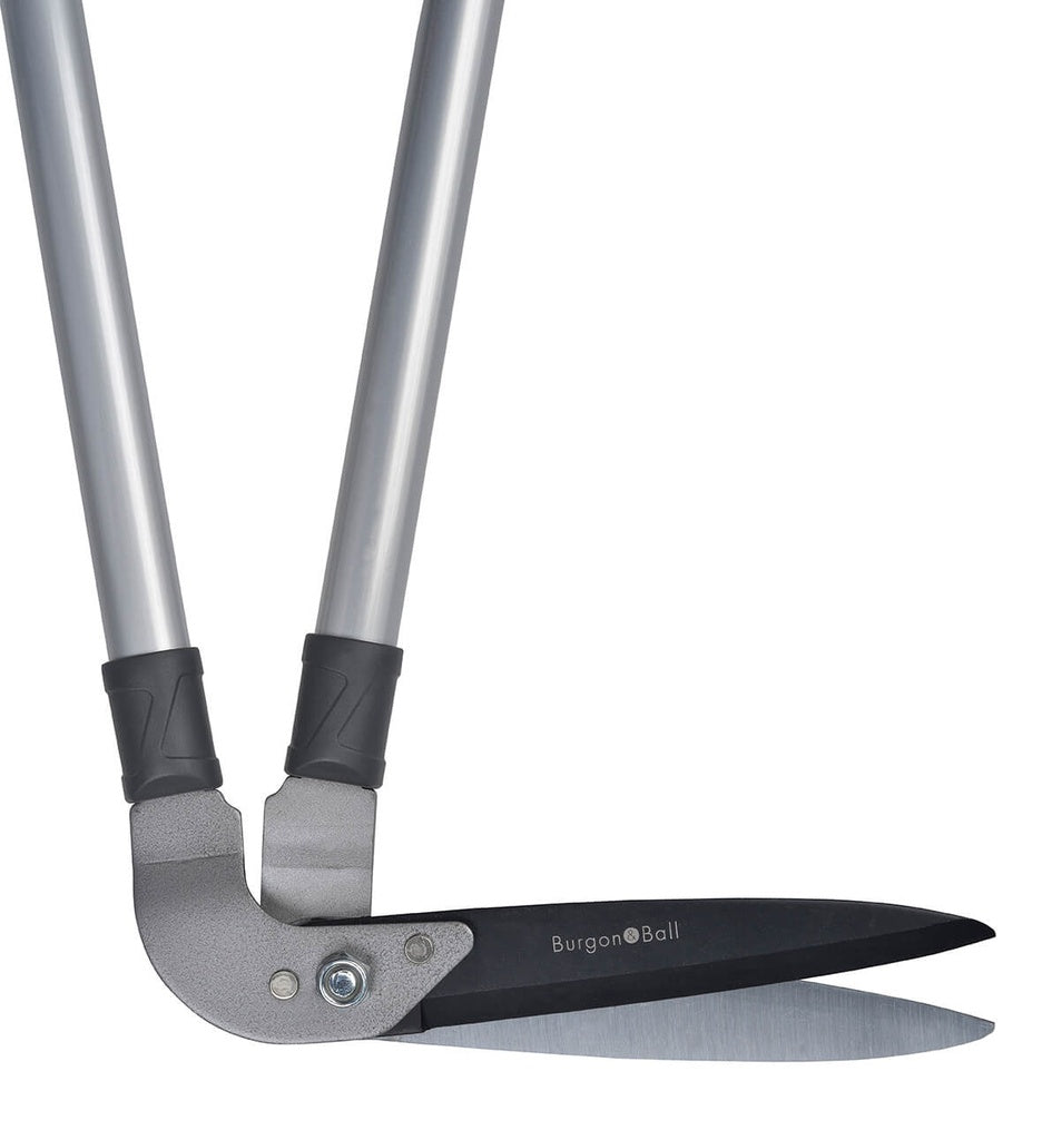 RHS Lawn Edging Shear