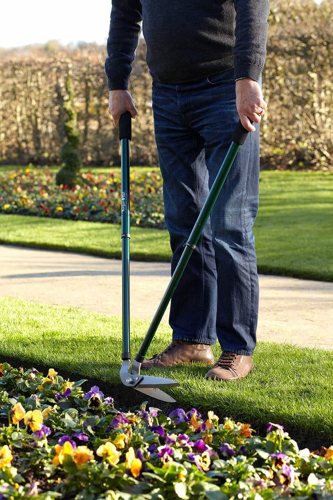 RHS Lawn Edging Shear
