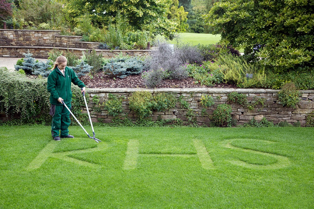 RHS Lawn Shear
