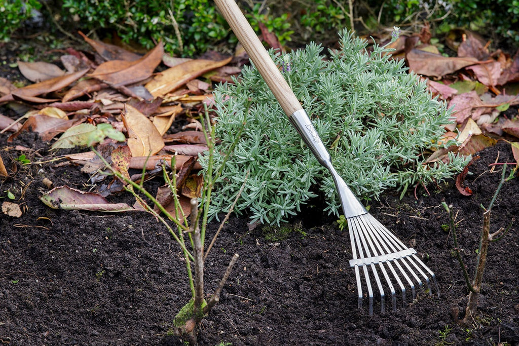 RHS Long Handled Shrub Rake