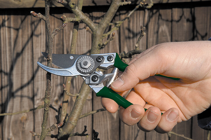 RHS Pocket Pruner