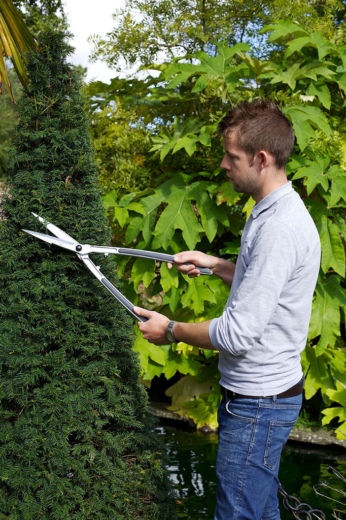 RHS Precision Shear