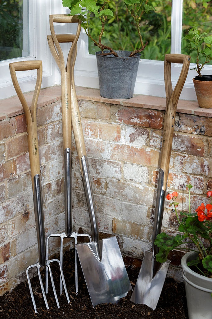 RHS Stainless Border Spade