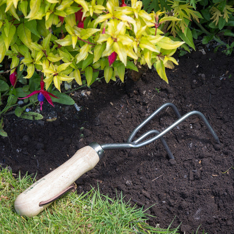 RHS Stainless Claw Cultivator