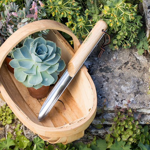 RHS Stainless Rockery Trowel