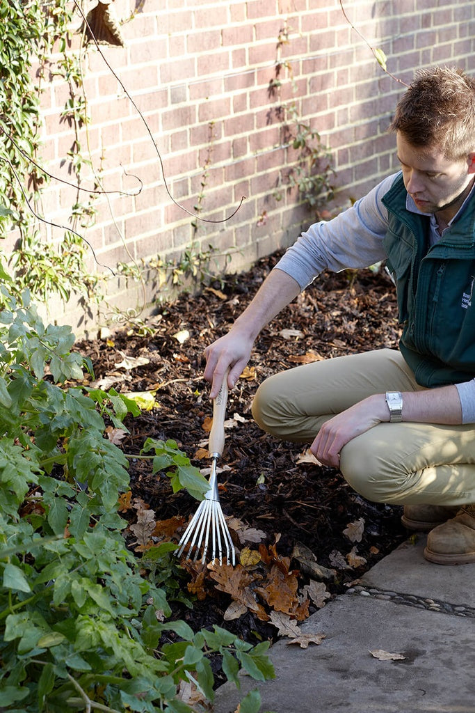 RHS Stainless Shrub Rake