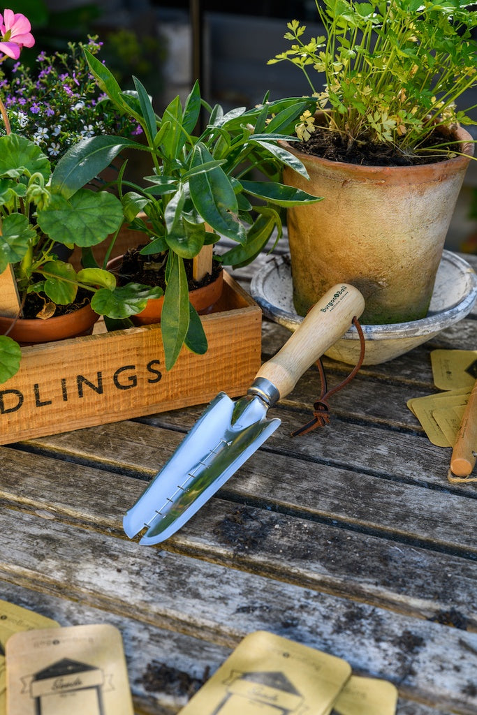 RHS Stainless Weeding Trowel