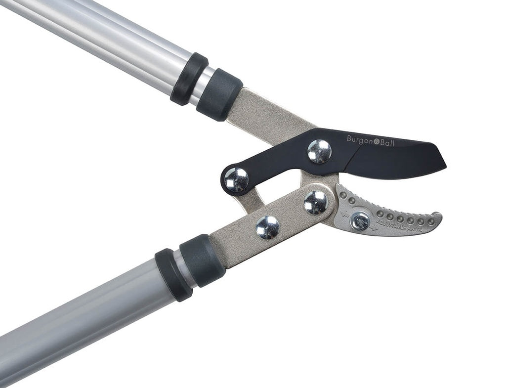 RHS Telescopic Anvil Lopper