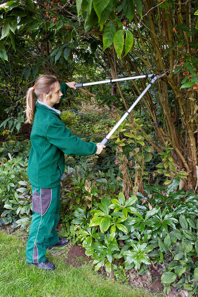 RHS Telescopic Anvil Lopper