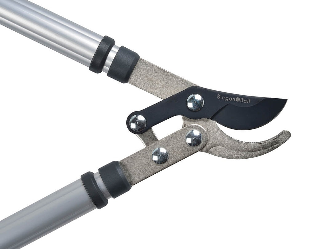 RHS Telescopic Bypass Lopper