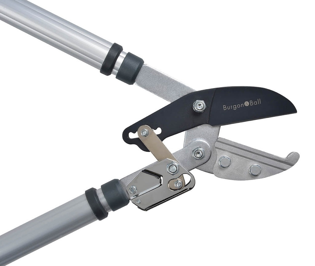 RHS Telescopic Ratchet Lopper
