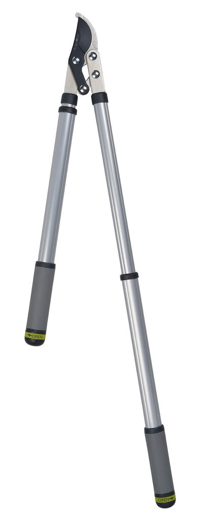 RHS Telescopic Ratchet Lopper