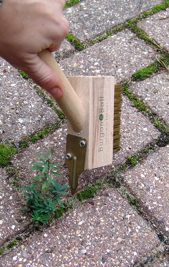 Short Miracle Block Paving Brush & Weeder