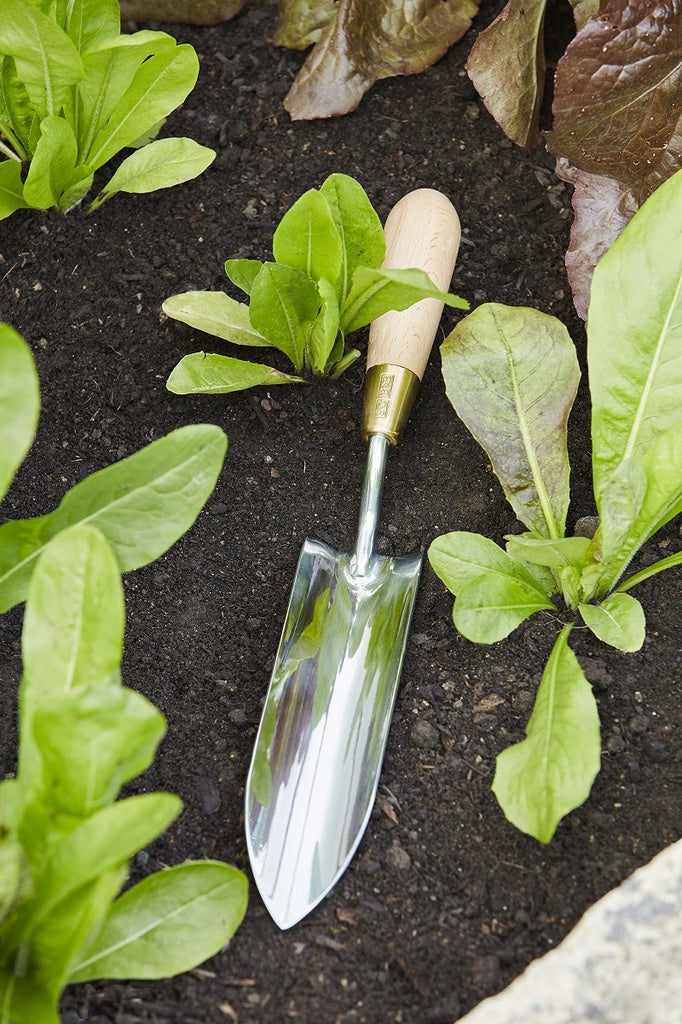 Sophie Conran - Long Thin Trowel