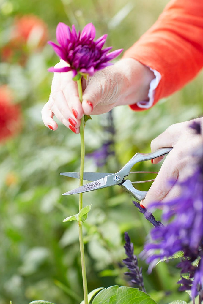 Sophie Conran - Precision Secateurs