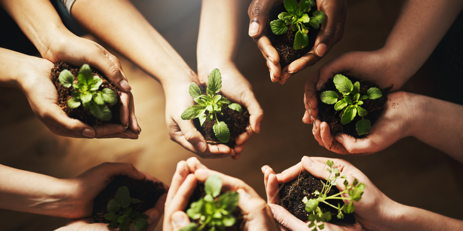 Sustainable Souls Planters Raised Gardens VIP Club